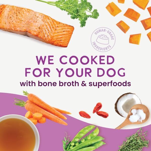 Health Extension Gently Cooked Grain-Free Salmon Dog Food, Human-Grade & Shelf-Stable with Superfoods, Supports Digestion, Immunity, Skin & Coat, 3 oz Pouch (Pack of 10)