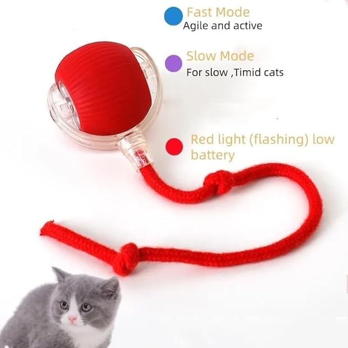 Interactive Mouse-Catching Cat Toy with Motion Sensor | Rechargeable Ball with Beep & LED Lights | Engaging Game for Indoor Cats, Reduces Boredom & Encourages Play (Blue Double Layer)