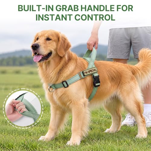 No Pull Dog Harness with Front Clip,Soft Padded, Sage Green,L - Image 7