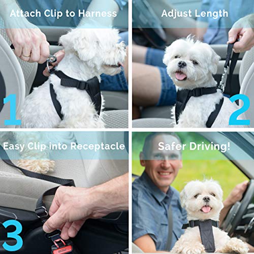 Duke & Dixie Dog Seat Belt Pet Dog Cat Car Seatbelt | Pet Essentials - Image 6