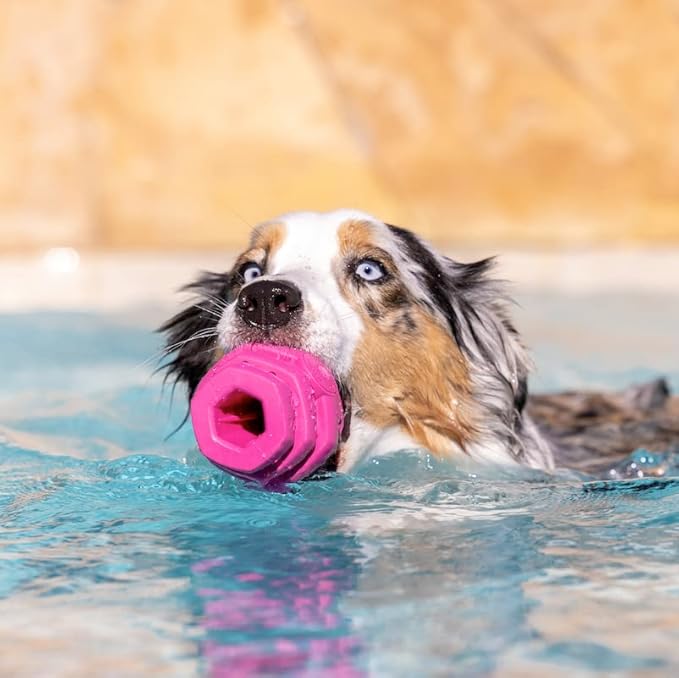 PROJECT HIVE ·PET COMPANY· - Wild Berry Scented - Hive Chew Toy for Large Dogs - Dog Chew Toy for Large Breeds - Floats in Water - Durable and Tough - Made in The USA