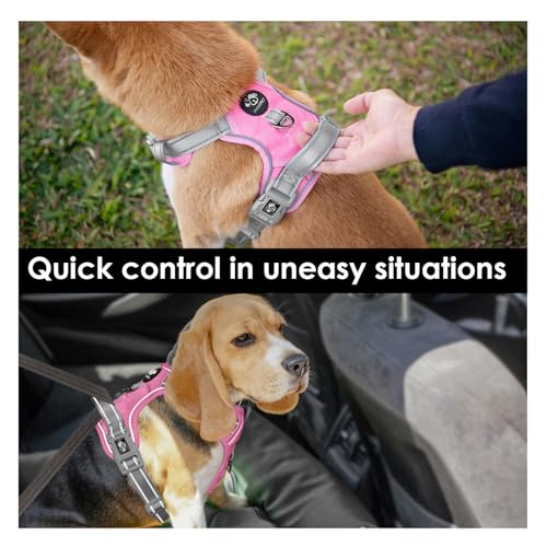 PHOEPET No Pull Dog Harness, Unique Colors Reflective | Pet Essentials - Image 5
