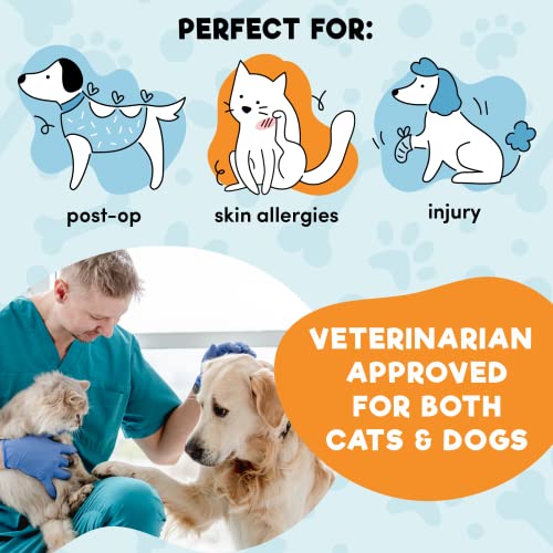 BENCMATE Inflatable Dog Cone Collar Alternative After | Pet Essentials - Image 5