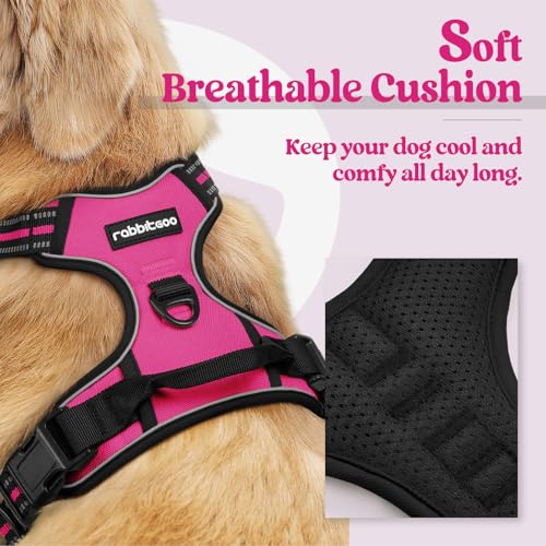 rabbitgoo Dog Harness, No Pull Medium Sized with 2 Leash Clips - Image 3