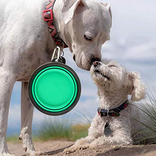 Large Collapsible Dog Bowls, 34oz Travel Water Food | Travel Essential - Image 3
