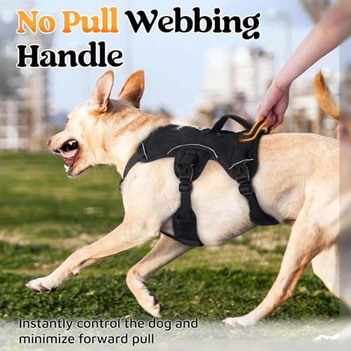 rabbitgoo Escape Proof Dog Harness for Medium, No Pull - Image 6