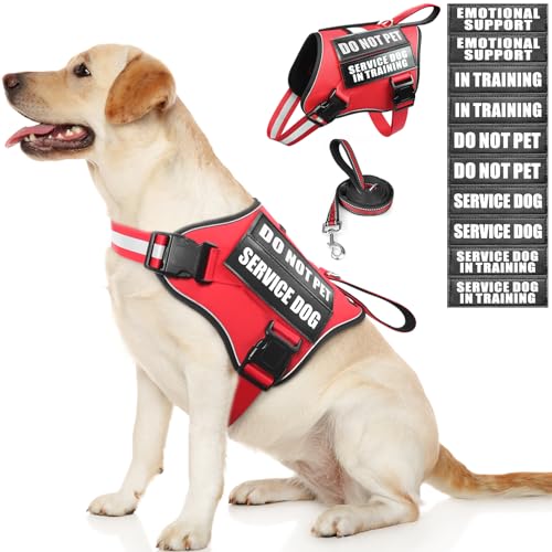 Service Dog Vest Harness and Leash Set+10 Patches,Easy - Image 2