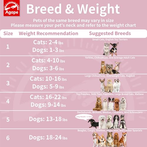 Agape Soft Dog Cone for Small Dogs & Cats, Recovery Collar - Image 4