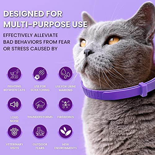 Pheromone Calming Collar for Cats: Breakaway Cat Calming Collar for Anxiety, Separation Stress, Multicat Aggression, Spraying, Meowing - for Indoor Use, Moving & Travel, 4 Pack (Purple)