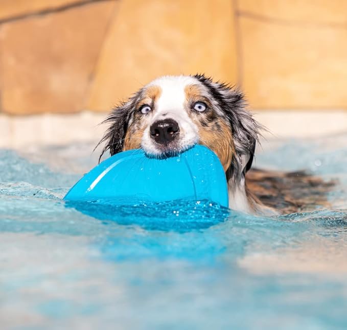 PROJECT HIVE ·PET COMPANY· - Soothing Vanilla Scented - Hive Frisbee Disc for Dogs - Great for Fetch - Includes a Lick mat on Back - Floats in Water, Smooth Glide - Made in The USA