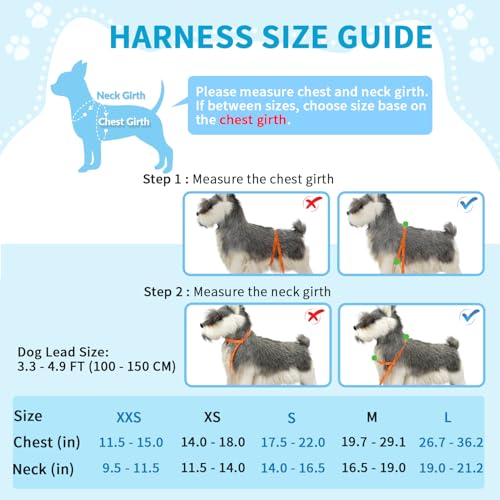 Lukovee Small Dog Harness and Leash Set, No Pull Soft Padded - Image 5
