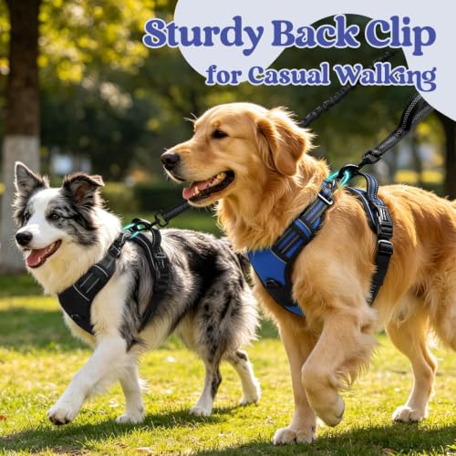 rabbitgoo Dog Harness for Large, Updated Easy On & Off - Image 5