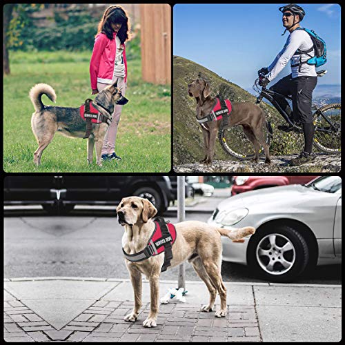 JSXD Dog Harness,No-Pull Service Dog Harness with Handle - Image 6