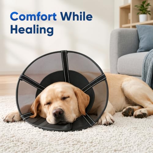 Dog Cone Collar Soft Liner to Stop Licking Surgery | Pet Essentials - Image 5