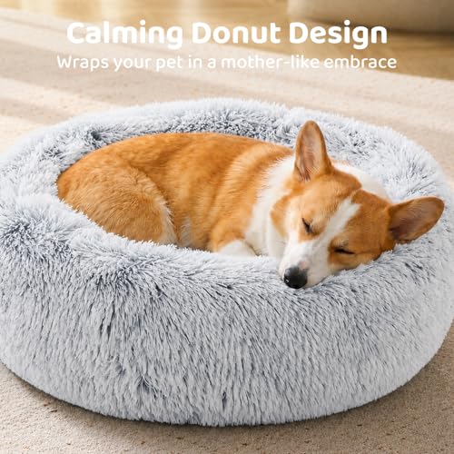 JOLLYVOGUE Dog Beds Large Sized Dog, 36 inches Calmi | Pet Safety & Co - Image 3