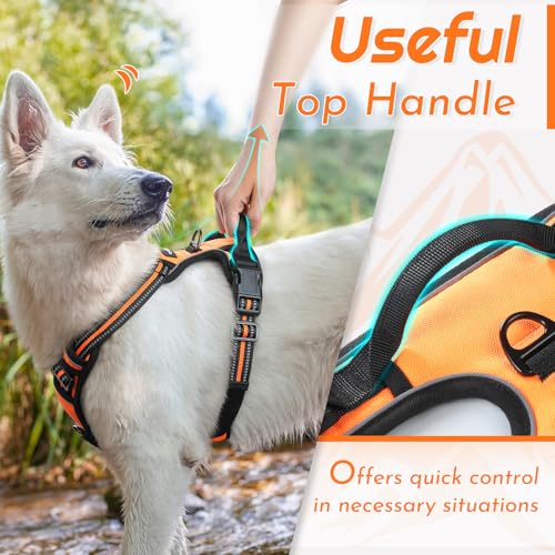 Eagloo Dog Harness for Large Dogs, No Pull Pet Vest with 2 - Image 5