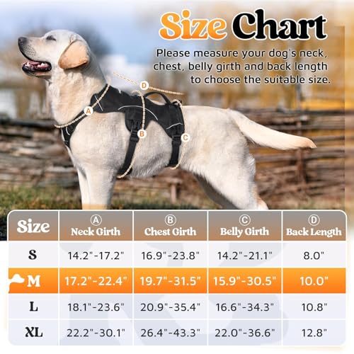 rabbitgoo Escape Proof Dog Harness for Medium, No Pull - Image 3