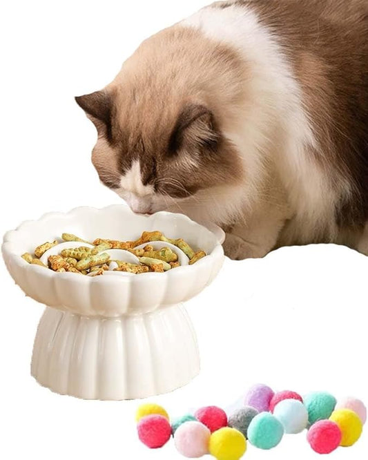 Ceramic Raised Cat Slow Feeder Bowls Whisker Friendly Anti Vomiting Cat Slow Eating Food Bowl for Cats Puppy Dogs Neck Support Plates (White)