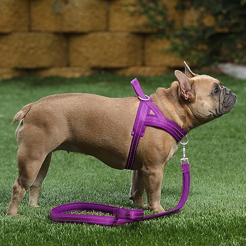 Plutus Pet No Pull Dog Harness with Front Clip, Breathable - Image 6