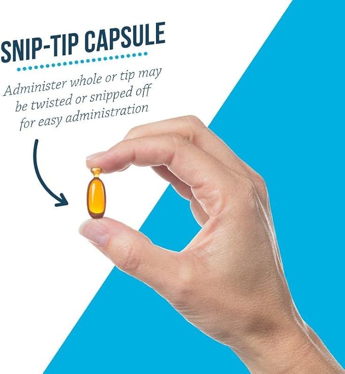 Free Form Snip Tips Omega-3 Fish Oil Liquid Supplement for Small Dogs and Cats, 60 Count