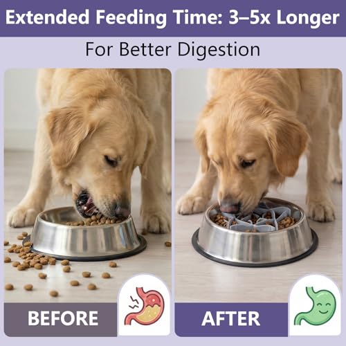 Silicone Dog Slow Feeder Bowl Insert with Suction Cups, Cuttable Food-Grade Lick Mat Divider Fits Stainless Steel Ceramic Glass Dog Bowls, Helps Slow Down Eating, Green