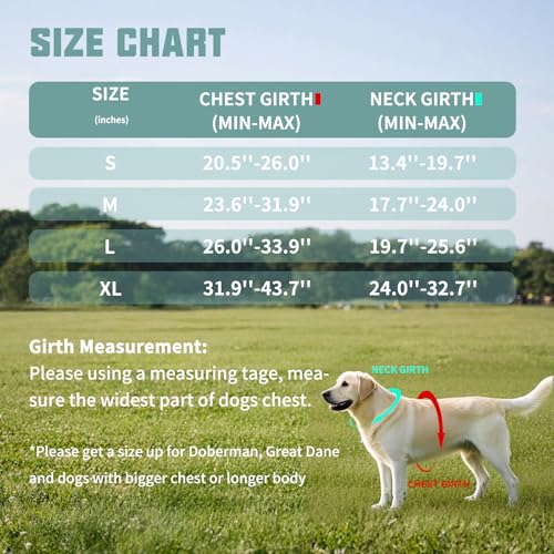 AUROTH Dog Harness and Leash Set for Medium Sized Dog, No - Image 7
