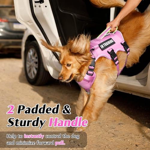 Escape Proof Dog Harness with Double Handle+4 Removable Patches - Image 4