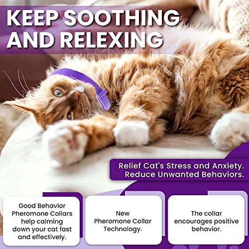 Pheromone Calming Collar for Cats: Breakaway Cat Calming Collar for Anxiety, Separation Stress, Multicat Aggression, Spraying, Meowing - for Indoor Use, Moving & Travel, 4 Pack (Purple)