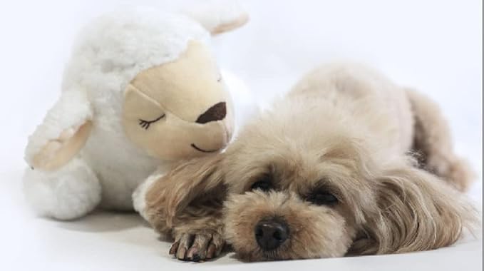 HonourHope Dog Heartbeat Toy for Anxiety Relief, Dog Soft Plush Toy Pet Calming Puppy Behavioral Training Aid Toy Pet Companion Pillow for Puppy Dog Cat Kitty Pets - Sheep