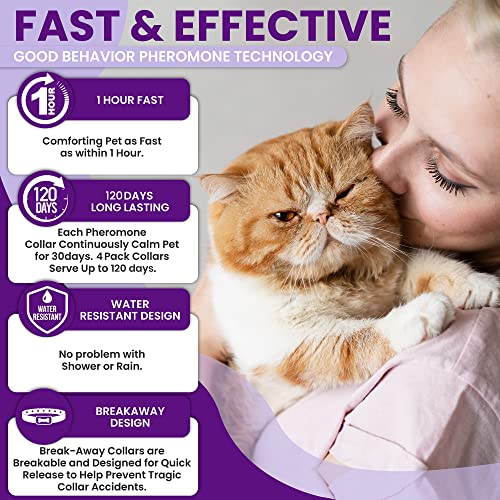 Pheromone Calming Collar for Cats: Breakaway Cat Calming Collar for Anxiety, Separation Stress, Multicat Aggression, Spraying, Meowing - for Indoor Use, Moving & Travel, 4 Pack (Purple)