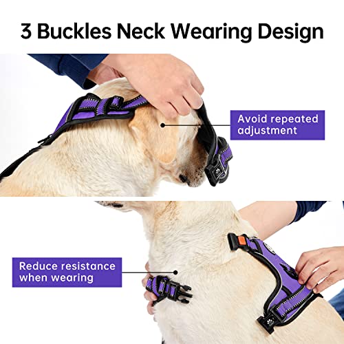 IVY&LANE No Pull Dog Harness for Small Dogs,Reflective Dog - Image 4