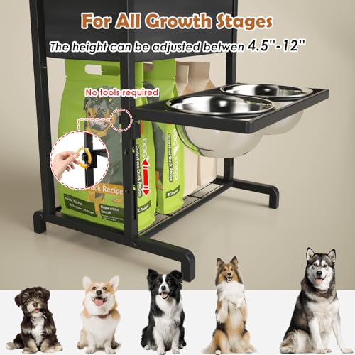 Elevated Dog Bowls: Height Adjustable Raised Dog Stand - Image 4