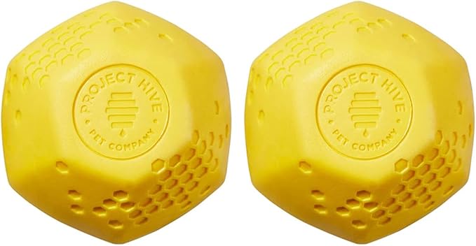 PROJECT HIVE ·PET COMPANY· - Hive Balls 2 Pack - Dog Balls - Toy for Large and Medium Breeds - Great for Fetch - Floats in Water - Durable and Tough for Aggressive chewers - Made in The USA