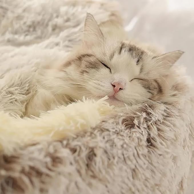 Cat Bed Round Fluffy Hooded Cat Bed Cave, Anti-Anxiety Cave Bed with Hooded Blanket, Cozy Cuddler Luxury Puppy Pet Bed, Anti-Slip Bottom and Machine Washable (Khaki, Large)