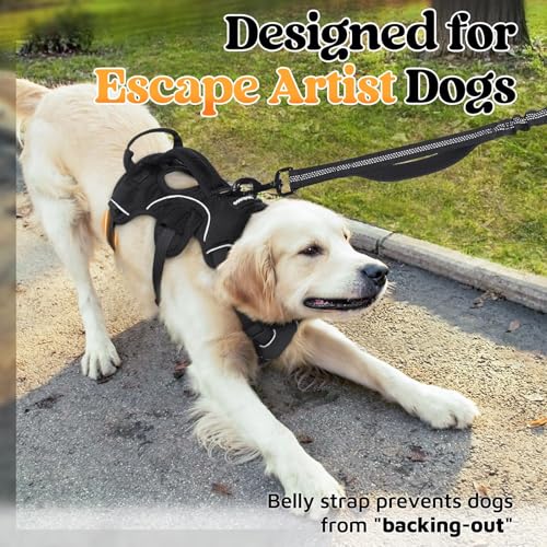 rabbitgoo Escape Proof Dog Harness for Medium, No Pull - Image 4