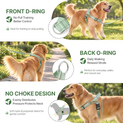No Pull Dog Harness with Front Clip,Soft Padded, Sage Green,L - Image 3