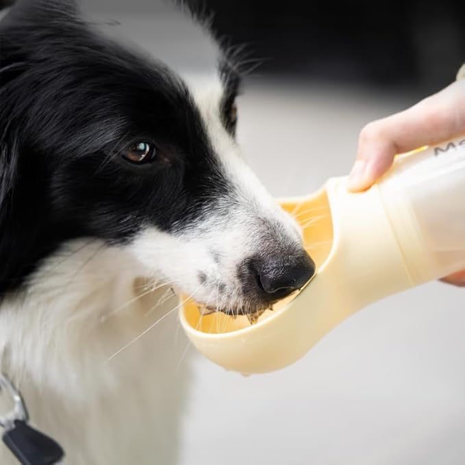 Bone Shaped Pet Water Bottle with Poop Bag Dispenser - Leak-Proof Portable Pet Travel Water Dispenser with Drinking Bowl for Walking, Hiking, & Outdoors, White