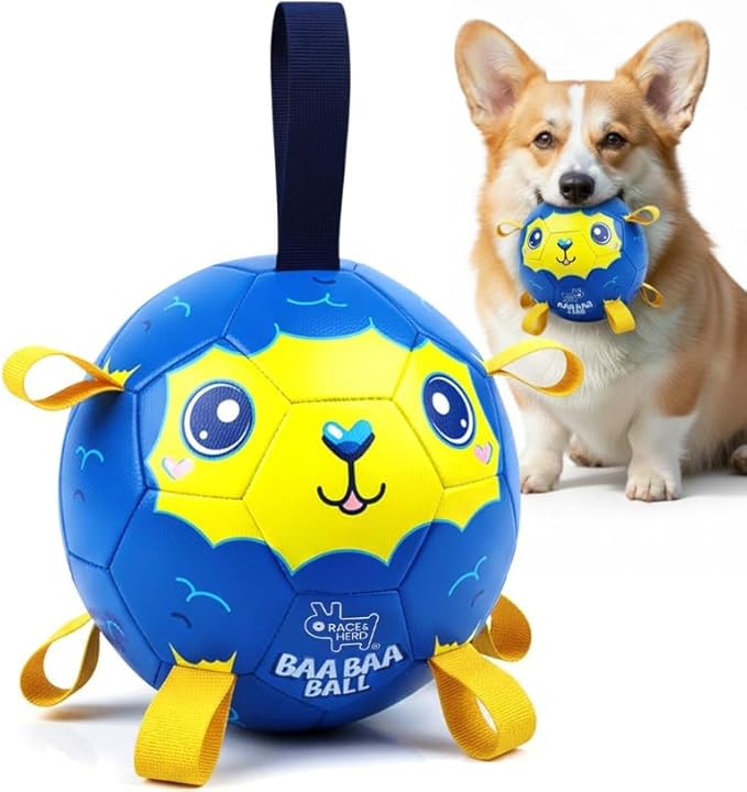Race&Herd 7.5" Jolly Soccer Ball for Dogs - Tough Durable Dog Ball Toy with Straps, Pet Bouncy Herding Balls for Dogs, Floating Dog Balls with Tags for Water Fetch, BaaBaaBall (Blue)