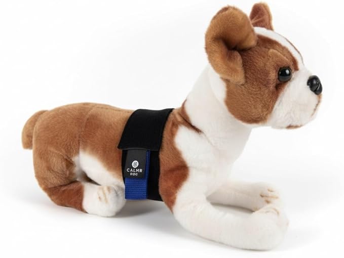 SettleStrap – Fast, Safe & Effective Anxiety Relief for Dogs | USA-Made Canine Calming Pressure Strap for Stress & Hyperactivity