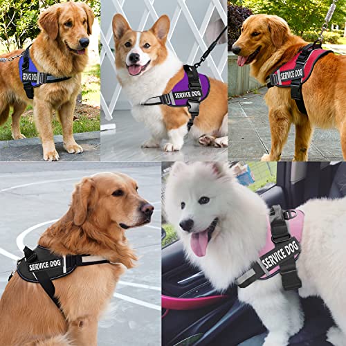 JSXD Dog Harness,No-Pull Service Dog Harness with Handle - Image 7
