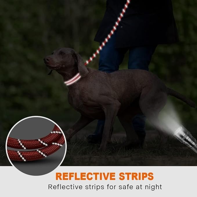Taglory Rope Dog Leash 4 FT with Comfortable Padded Handle, Highly Reflective Threads Leash for Medium Large Dogs, 1/2 inch, Red