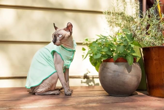 Goldpaw Dog Sun Shirt with UV Protection - Lightweight, Cooling Sun Protection Clothing for Dogs - Reduce Heat Absorption - Pet Clothes Made in The USA - Machine Washable - Pebble - Size 22