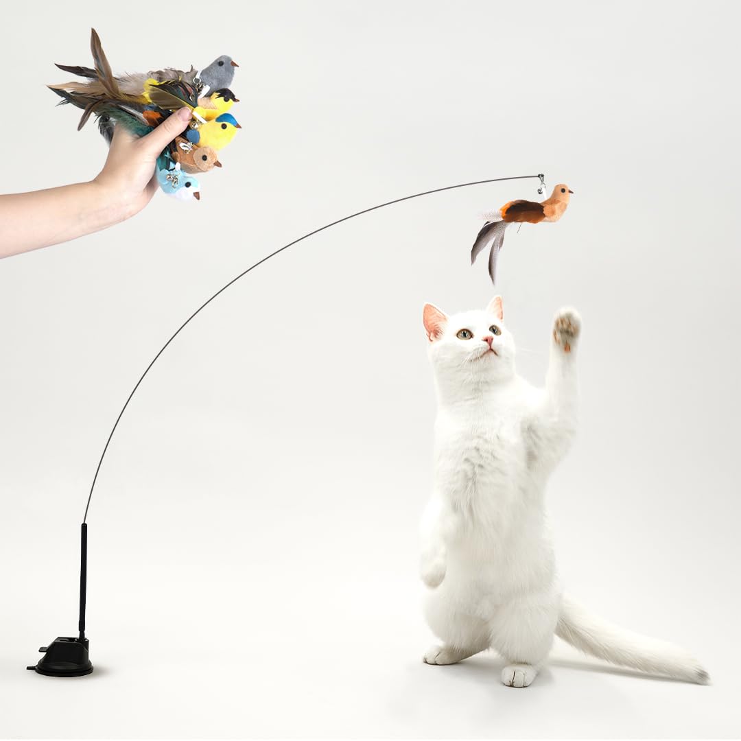Leo's Paw Interactive Bird Simulation Cat Toy (Replacement Suction Cup Base)