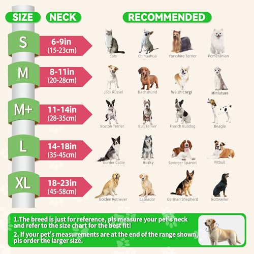 Upgraded Inflatable Dog Cone Collar to Stop Licking, Soft - Image 3