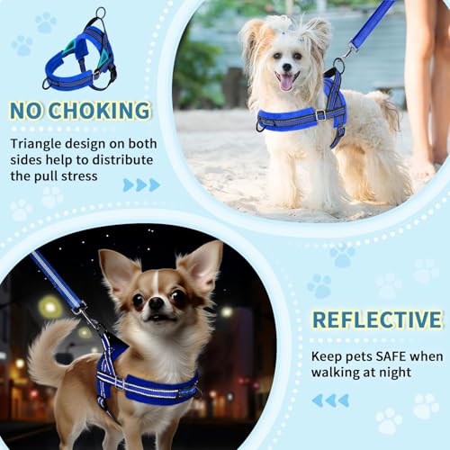 Lukovee Small Dog Harness and Leash Set, No Pull Soft Padded - Image 7