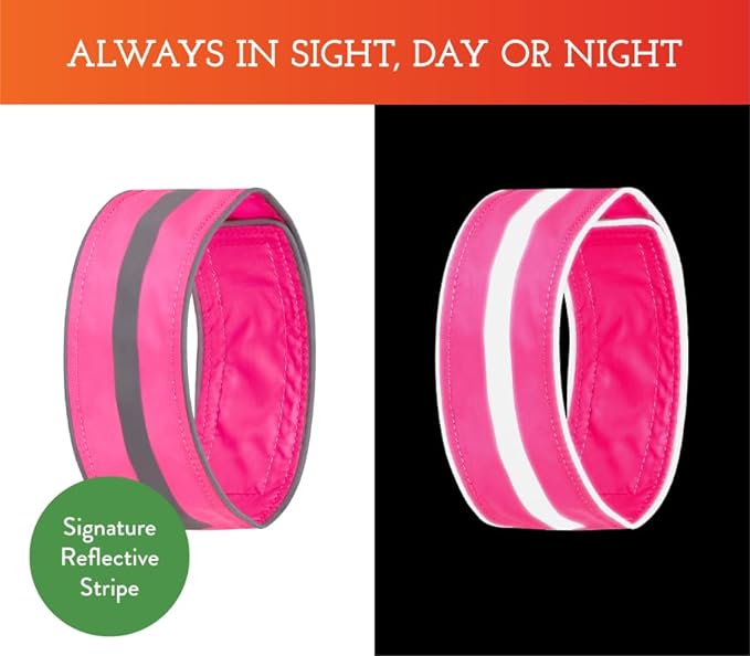 SPOT THE DOG! Reflective Dog Collar - Adjustable Pet Collars, Safe, Durable, Comfortable Dog Walking Accessories for Large Dog, Hunting Dog, Puppy, Lightweight Boy, Girl Dog Collars (Neon Pink, XL)
