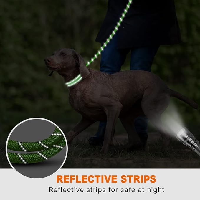 Taglory Rope Dog Leash 6 FT with Comfortable Padded Handle, Highly Reflective Threads Leash for Medium Large Dogs, 1/2 inch, Green