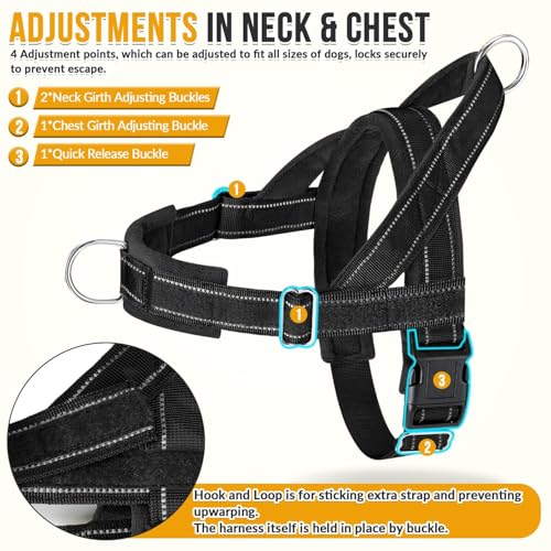 Lukovee No Pull Dog Harness and Leash Set, Soft Padded - Image 4