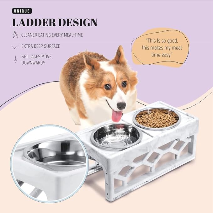 AVERYDAY Elevated Dog Bowls, 4 Height Adjustable Stand for Small and Medium Dogs, Raised Dog Feeder Holder with 2 Stainless Steel Food and Water Bowls, Anti-Slip Base Tall Feeding Station
