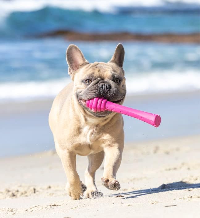 PROJECT HIVE ·PET COMPANY· - Wild Berry Scented - Hive Dog Fetch Stick for Large Breeds - Dog Stick Toy - Floats in Water - Treat Dispenser Toy - Durable and Tough - Made in The USA